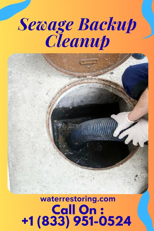 Sewage Backup Cleanup in Wooldridge, MO